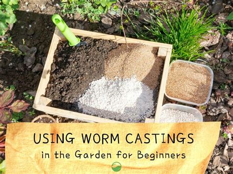 Using Worm Castings in Your Garden