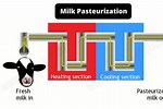 Using a Microwave to Pasteurize Milk