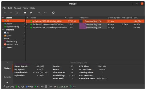 Using a Torrent Client