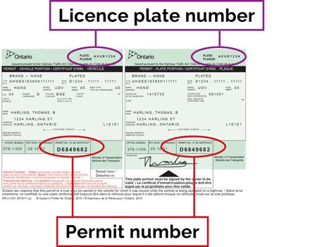 Using and Expiration of the License