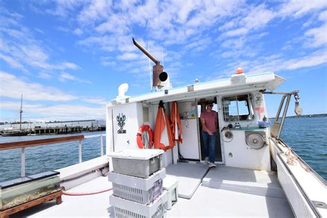 Usm Summer Classes 2024