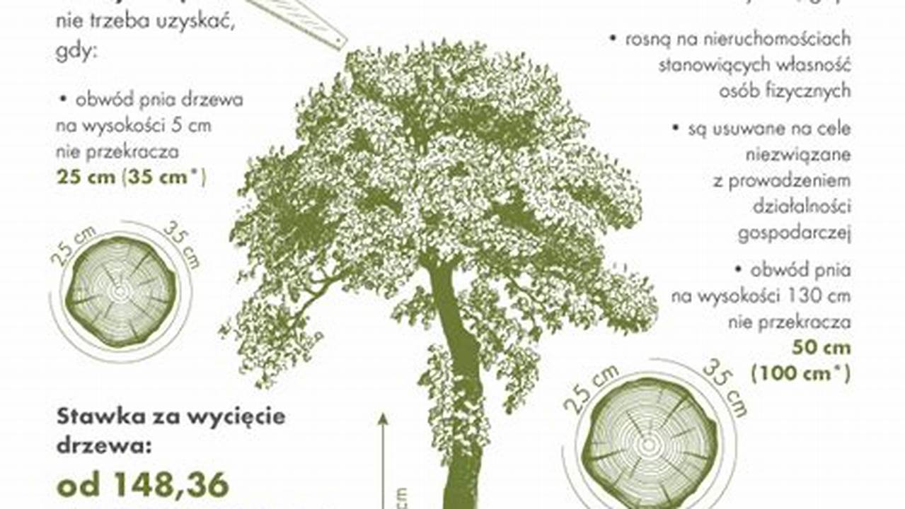 Ustawa O Wycince Drzew I Krzewów 2017 Dokument