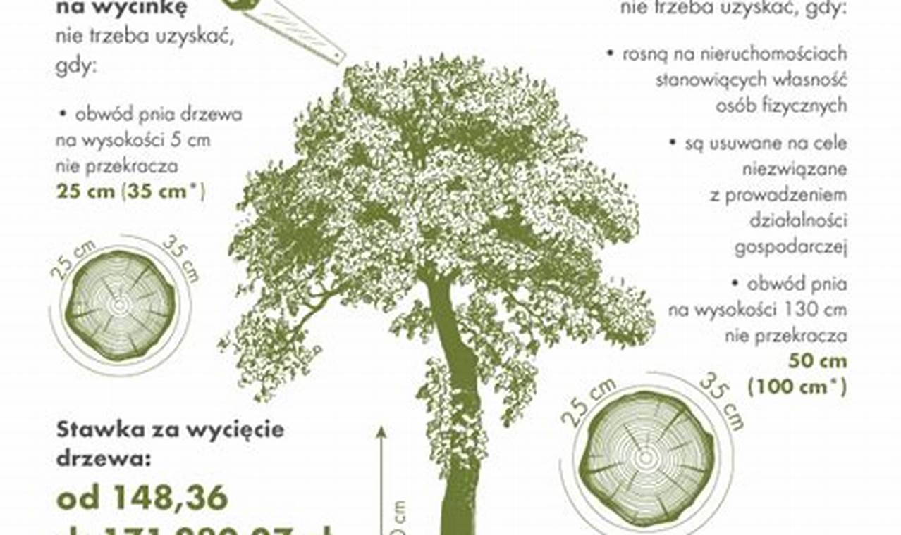 Ustawa O Wycince Drzew I Krzewów 2017 Dokument
