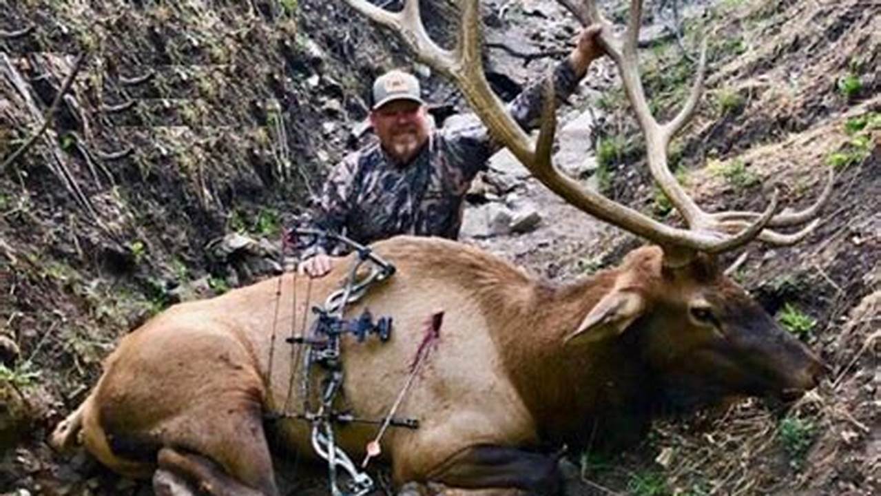 Utah Archery Elk Hunt Dates 2024