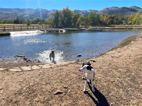 Utah Dog Park