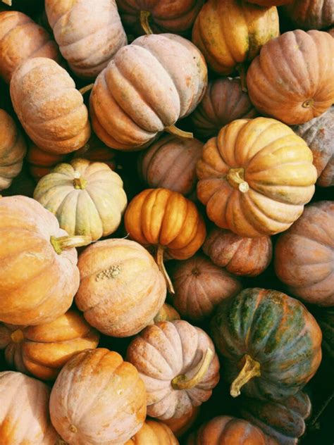 Utah November Celebrations