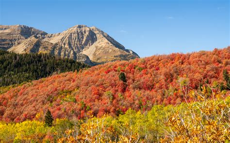 Utah November Colors