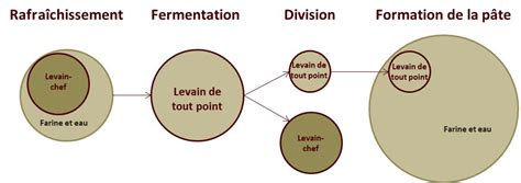 Utilisation du levain dans la panification