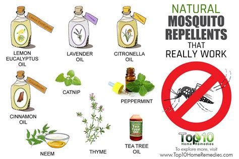 Utilize Natural Repellents