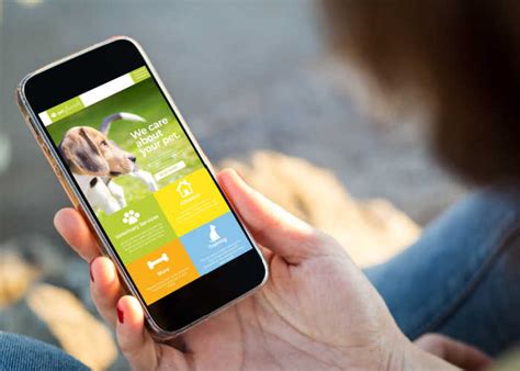 Utilizing Dog Boarding Apps and Services