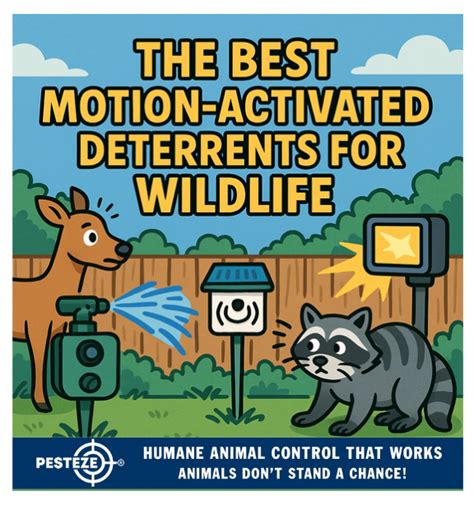 Utilizing Effective Humane Deterrents