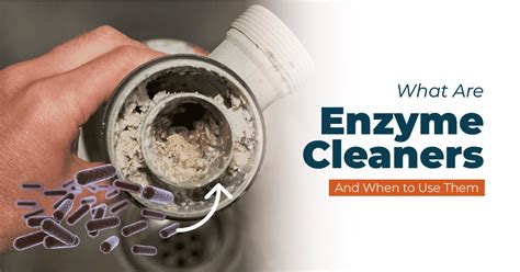 Utilizing Enzyme Cleaners