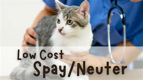 Utilizing Low-Cost Vaccination and Spay/Neuter Programs