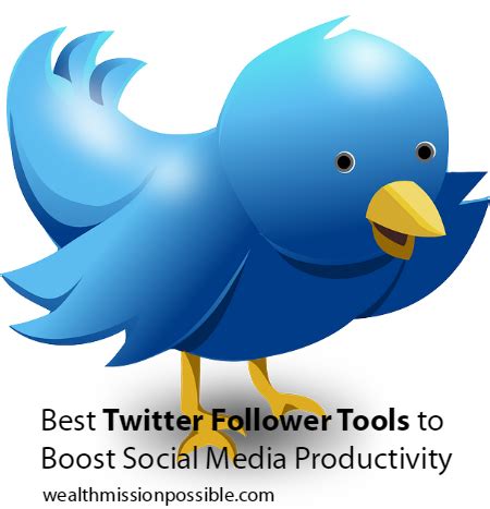 Utilizing Third-Party Tools Twitter Followers