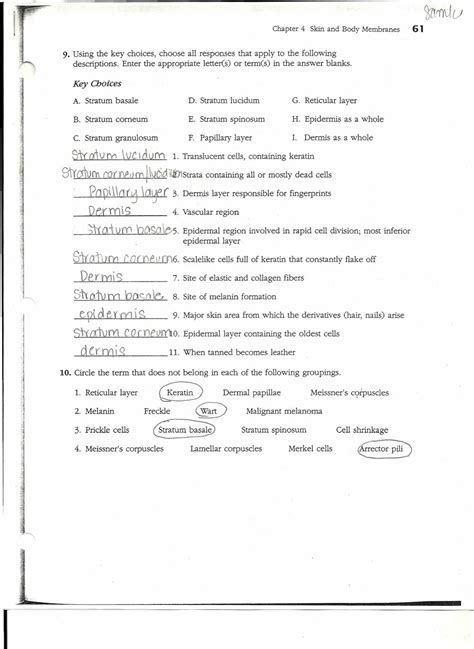 Utilizing the Answer Key for Comprehensive Learning in Anatomy Education