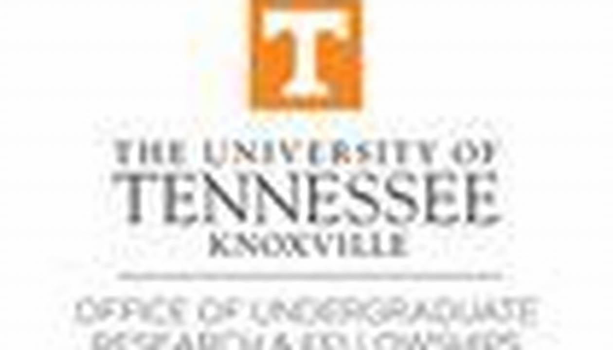 Utk Summer Classes 2024