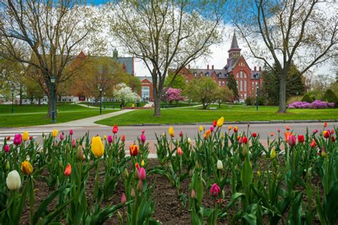 Uvm Courses Spring 2024