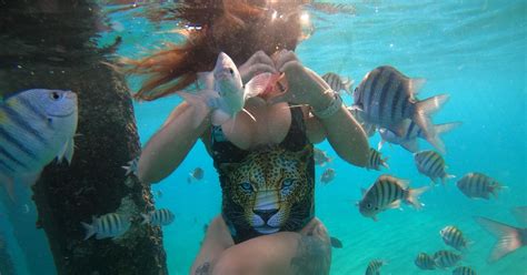 VIP Adventures Snorkeling