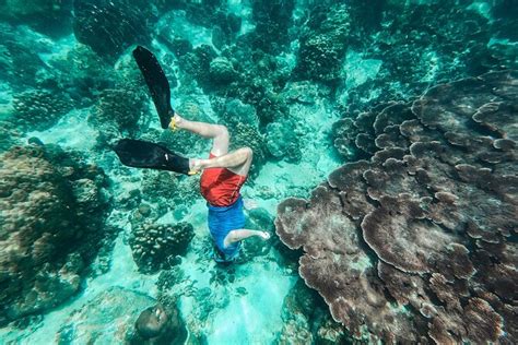 VIP Snorkelling Adventure