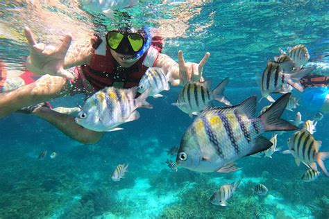 VIP snorkeling experience