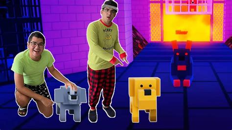 VIRAMOS CACHORROS ABANDONADOS NA CIDADE GRANDE 