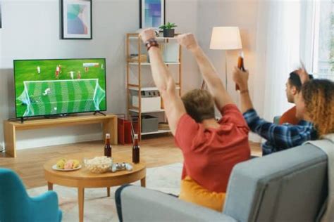 VIZIO D48 D0 Sound Features Review