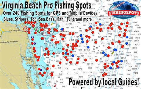 Va Beach Fishing Locations