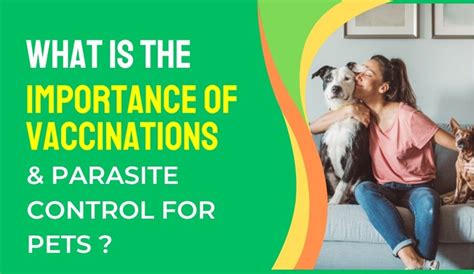 Vaccinations and Preventive Parasite Control