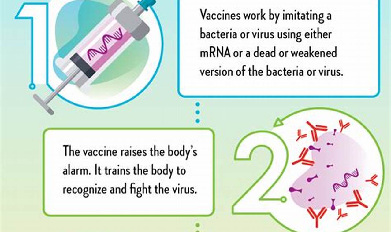 Vaccines and immunization facts