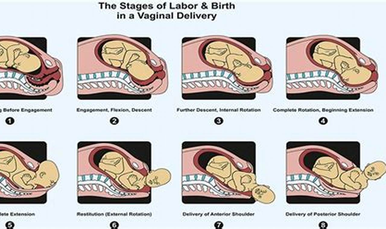 Vaginal birth guide and tips