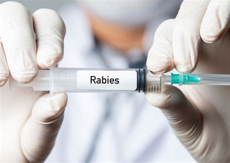 Vaksin Rabies - Harga dan Manfaatnya