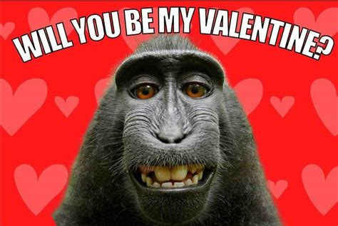 Valentines Day Funny Image