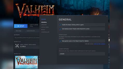 Valheim Cheat commands