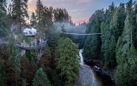 Vancouver Capilano Bridge Guided Tour: Is it Worth it?