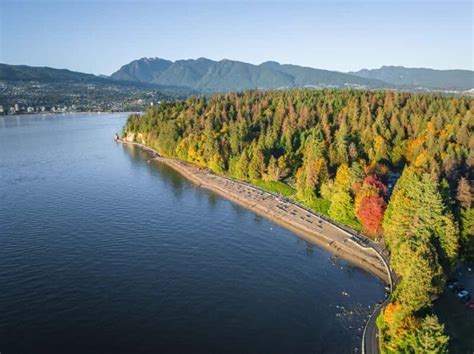 Vancouver Sunset Trolley Tour: A Detailed Review