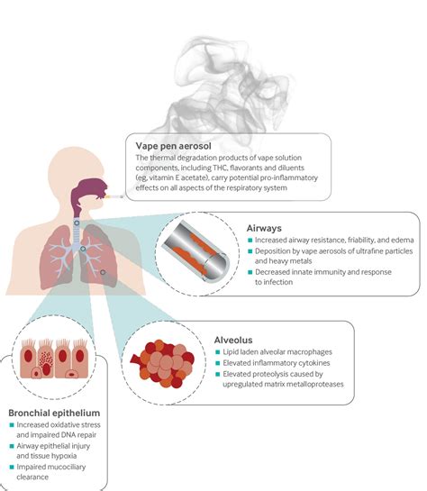 Vaping Damage To Lungs Uk