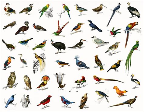 Variations