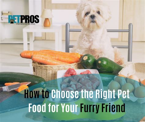 Varieties Available for Your Furry Friend