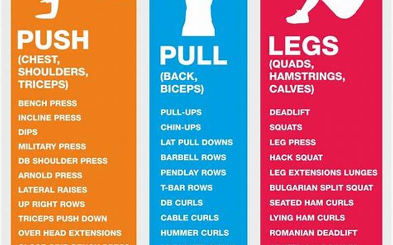 Variety Of Workout Options