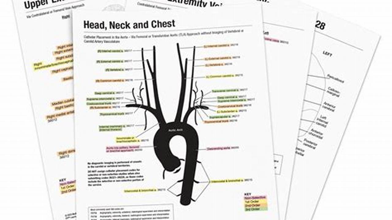 Vascular Coding Cheat Sheet 2024