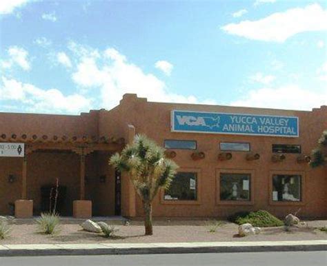 Comprehensive Pet Care at VCA Animal Hospital Yucca Valley - Trustworthy Services for Your Furry Friends