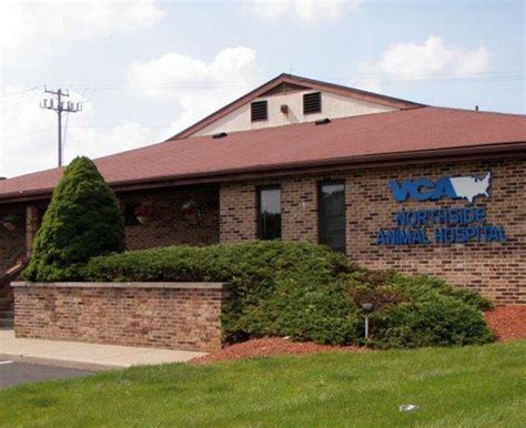 Expert Animal Care at VCA Northside Animal Hospital: Compassionate Treatment for Pets