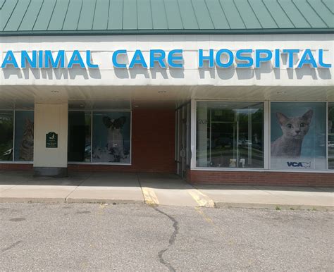 Discover Exceptional Pet Care at VCA West 86th Street Animal Hospital - Your Trusted Local Vet