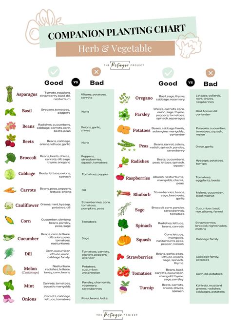 Veg Companion Planting Chart
