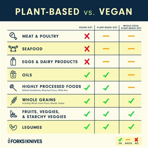 Vegan Food Isn'T Healthy