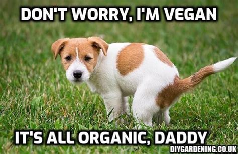 Vegan Dog Meme