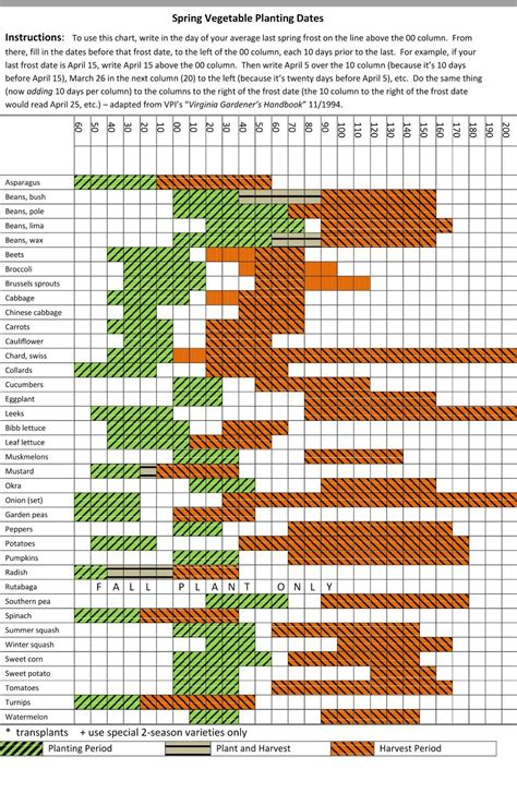 Vegetable Planting Time Chart