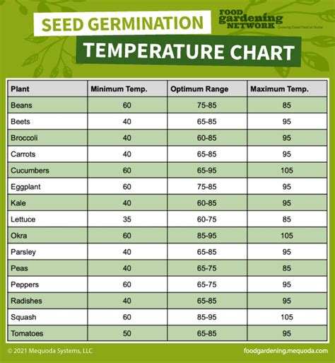 Vegetable Seed Germination Temperature Chart