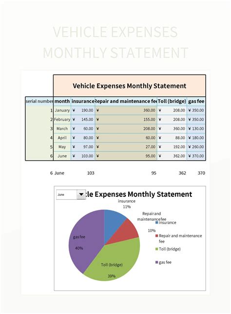 Vehicle Type and Expenses