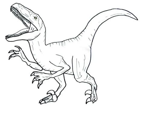 Velociraptor Color Page